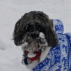 Meet your Posher, Jacqueline